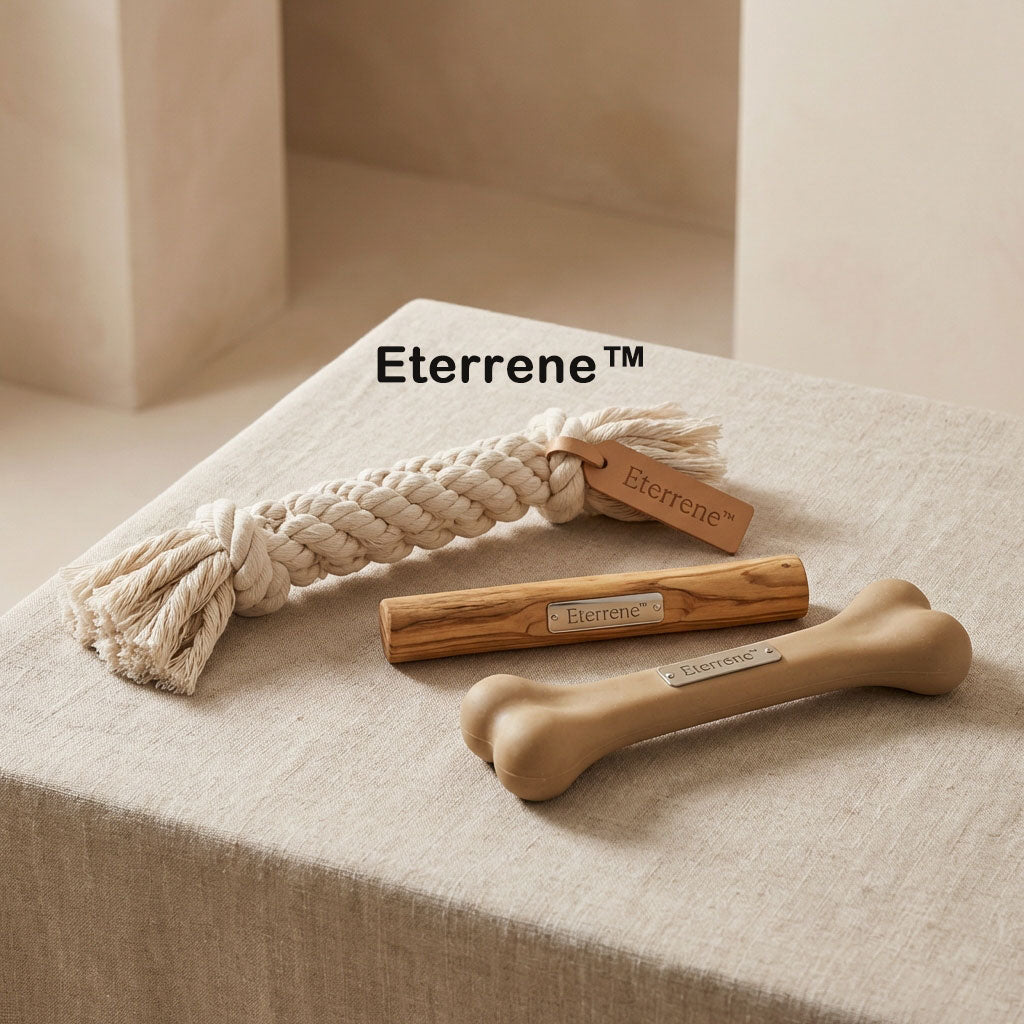Eterrene™ TrioTug™ Dog Play Toy Set Three Ways to Play. Endless Tail Wags.